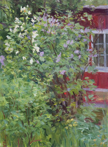 Lilacs near an academics' datcha