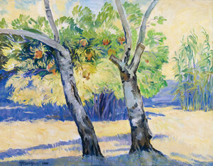 Garden in Mardakan, Azerbeijdjan